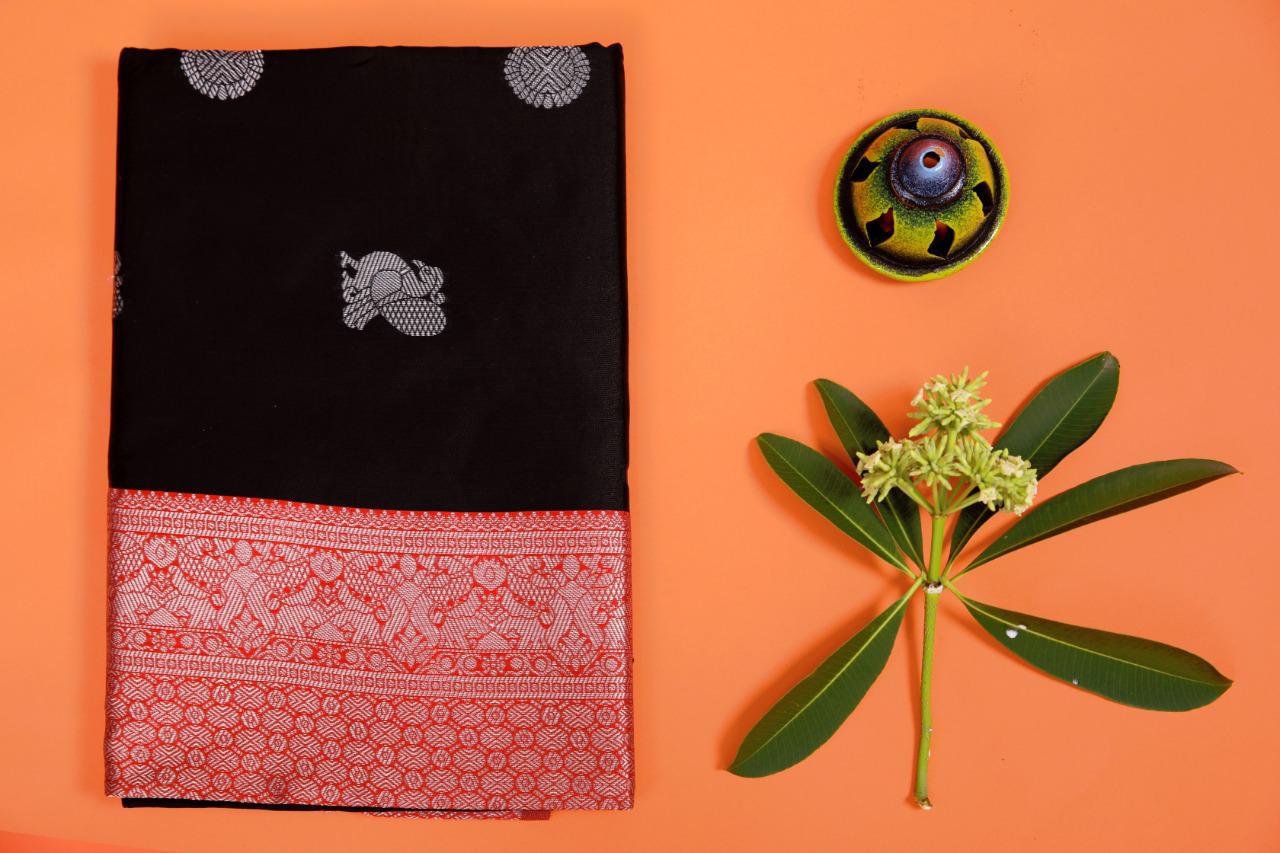 BORDERLESS SILK KANCHIVARAM