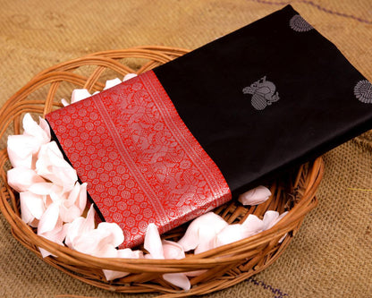 BORDERLESS SILK KANCHIVARAM